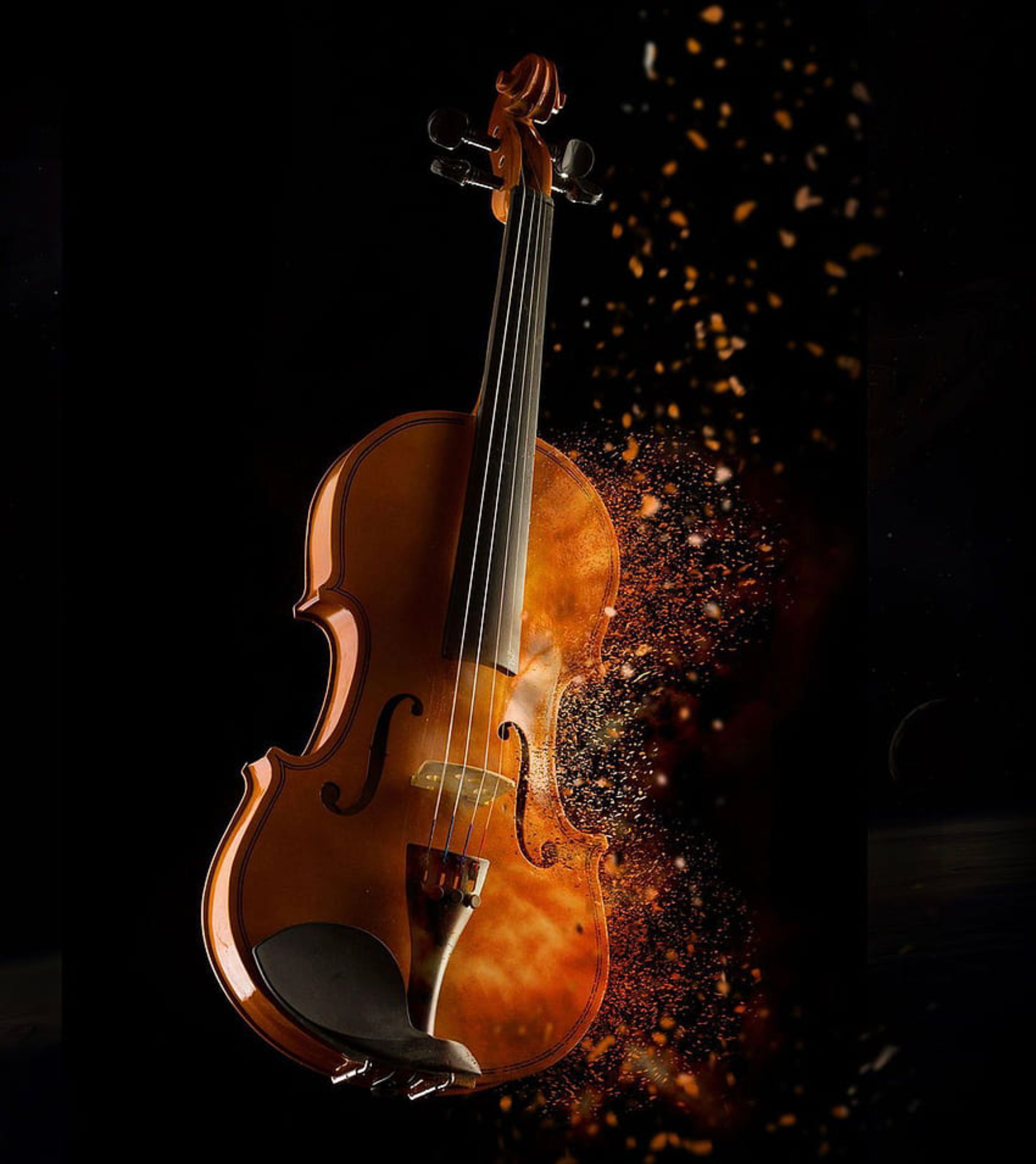 VIOLIN